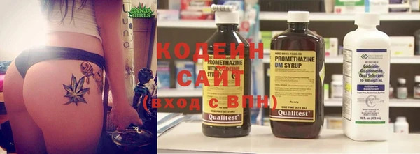 круглые Тайга