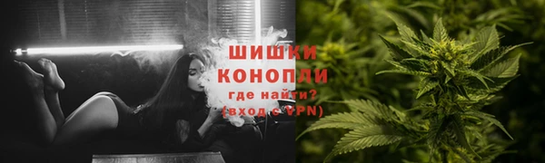трава Тавда