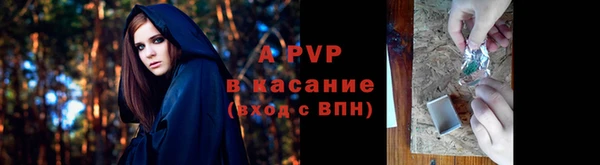 круглые Тайга