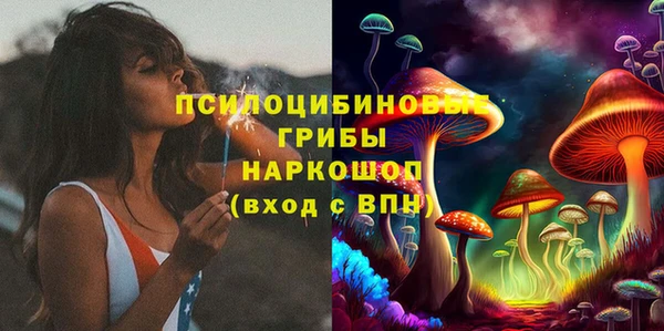 круглые Тайга