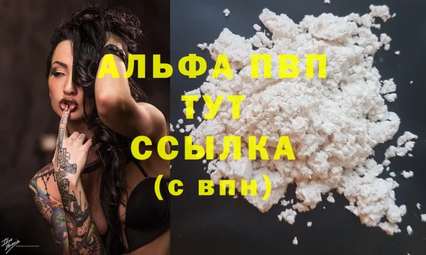 круглые Тайга