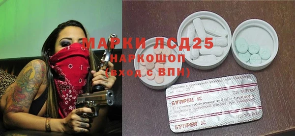 круглые Тайга