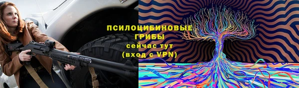 трава Тавда